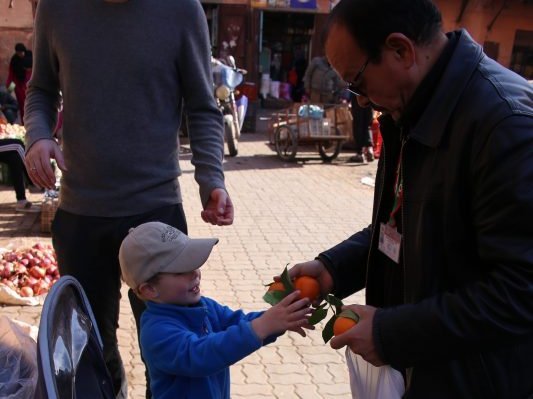 Marokko mit Kindern - Ein Tag in Marrakesch mit Kindern - Mandarinen kaufen