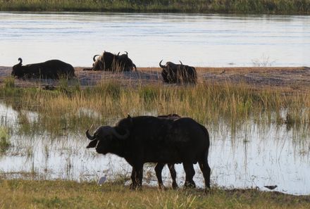 Namibia Familienreise - Namibia for family individuell -  Nationalpark