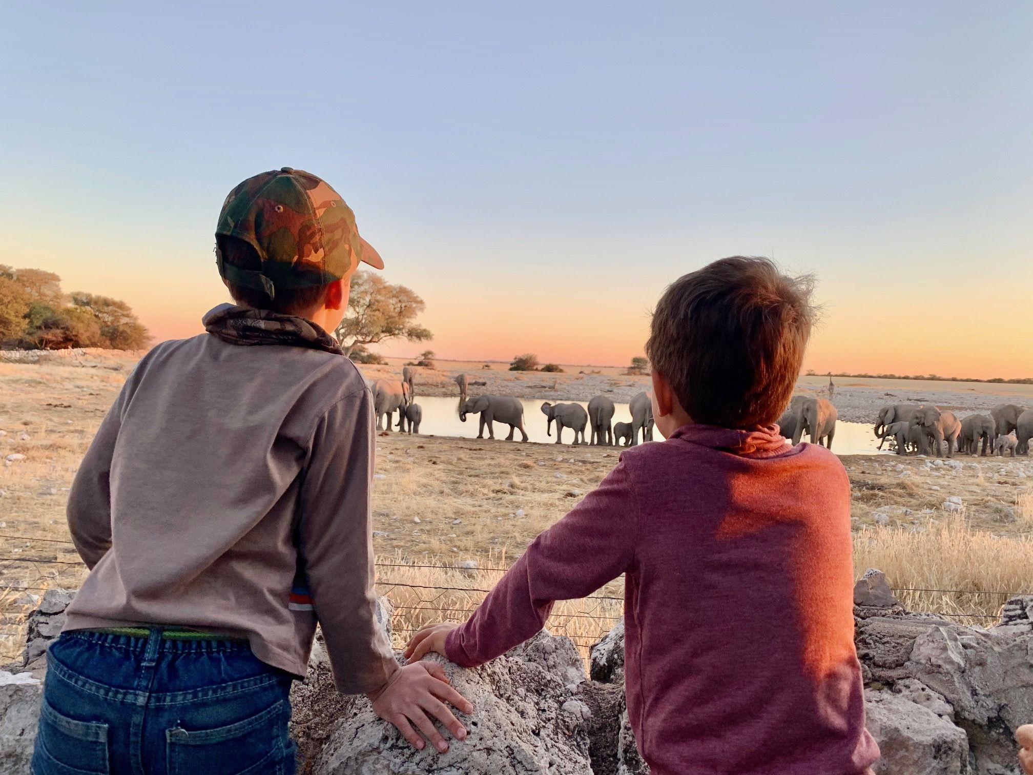 Camping in Namibia mit Kindern - Roadtrip Namibia mit Kindern - Kinder beobachten Elefanten am Wasserloch