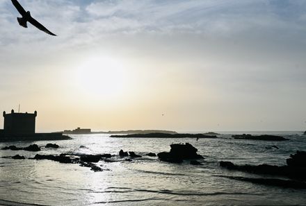 Familienreise Marokko - Marokko for family individuell - Essaouira am Atlantik