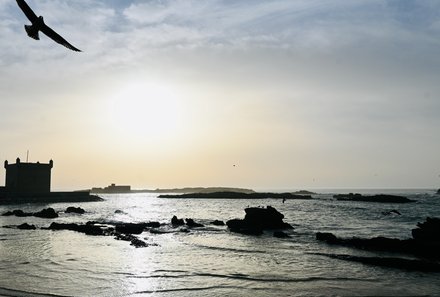 Marokko for family - Marokko Familienreise mit Kindern - Strand und Vogel