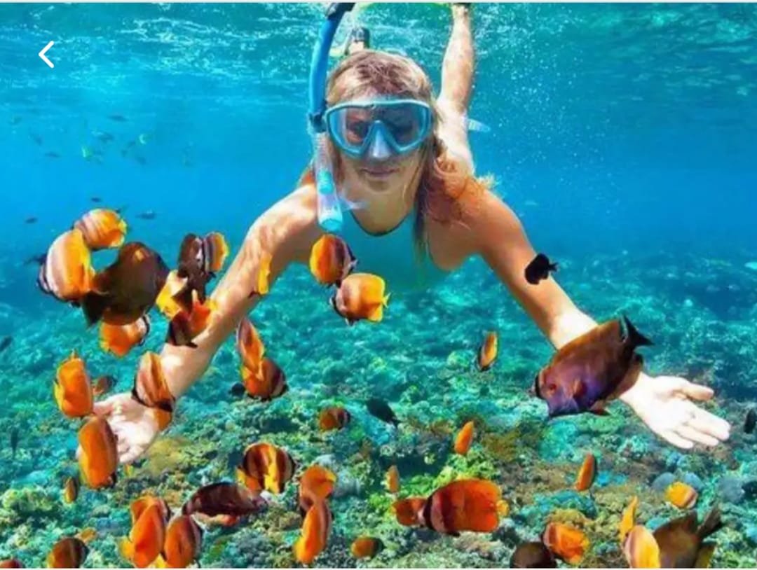 Bali mit Kindern Erfahrungen - Bali Rundreise mit Kindern - Unterwasserwelt
