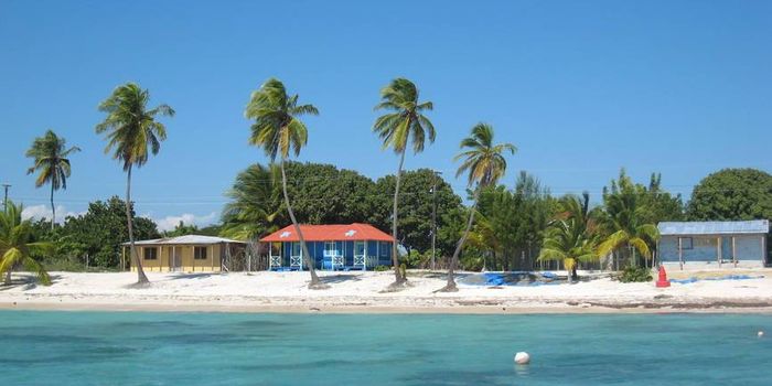 Die Dominikanische Kultur - Ein ganzes Volk tanzt - Blaues Haus am Strand