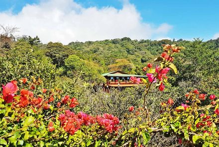 Costa Rica mit Kleinkindern - Monteverde - Cloud Forest Lodge - Außenansicht