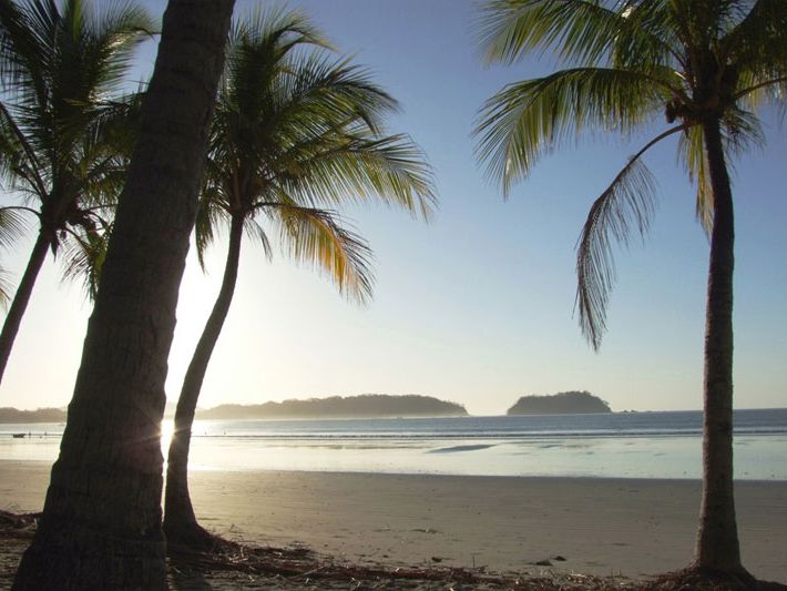 Familienreise Costa Rica - Strand mit Palmen