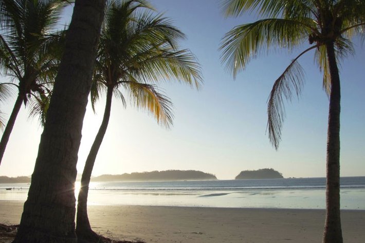 Familienreise Costa Rica - Strand mit Palmen