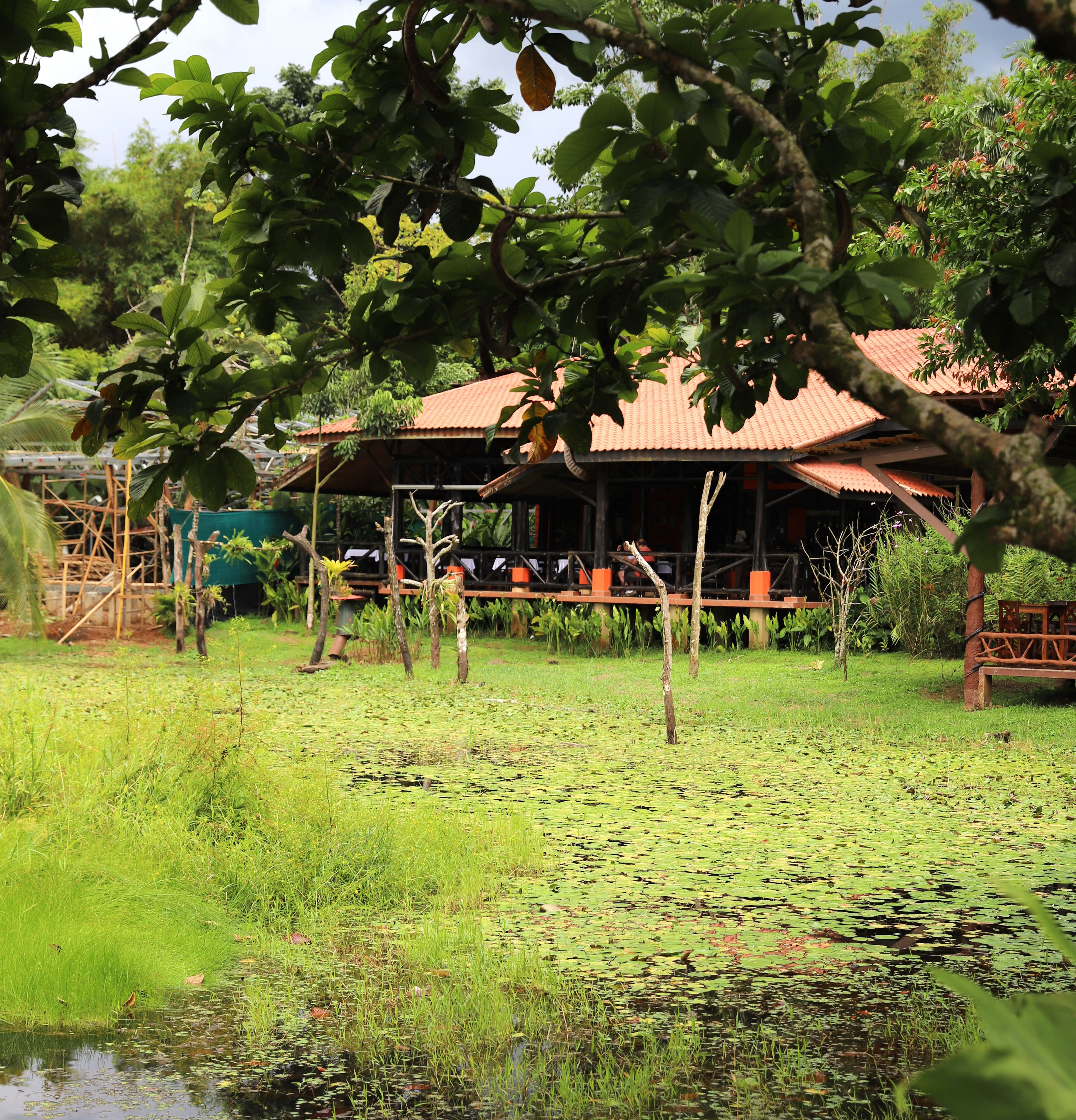 Costa Rica Selbstfahrerreise mit Kind - Lodge im Regenwald