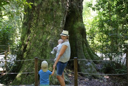 Familie Albrecht auf Reisen - Nadja Albrecht in Südafrika - Knysna