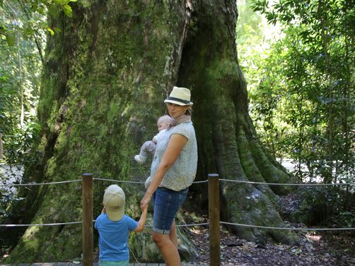 Elternzeit in Südafrika - Mit Baby entlang der Garden Route
