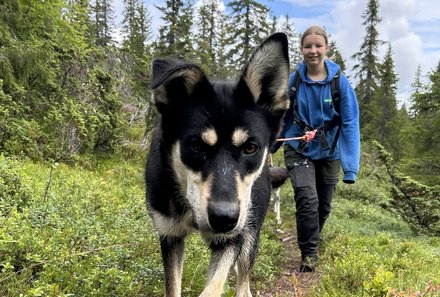 Schweden for family - Husky Farm - Mit Husky spazieren