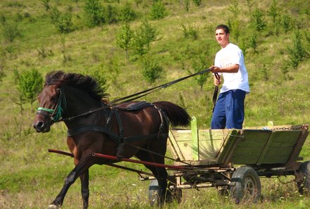Rumänien mit Kindern - Landleben Rumänien - Pferdekarren