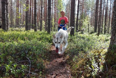 Finnland Familienreise - Finnland individuell - Huskytrekking 1