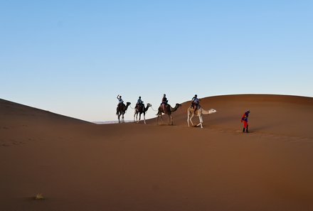 Marokko Family & Teens - Marokko mit Jugendlichen - Wanderung mit Dromedaren in der Wüste Sahara