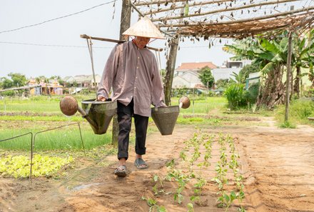 Vietnam for family individuell - Tra Que Herbal Village - Bauer auf dem Feld