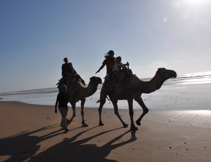 Marokko for family individuell - Marokko mit Kindern individuell - Kamelreiten am Strand