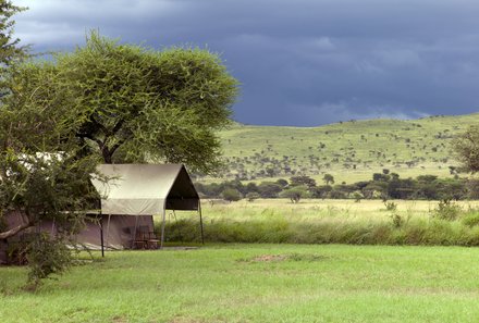 Tansania Familienreise - Tansania Family & Teens individuell - Serengeti - Landschaft