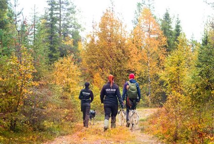 Finnland Familienreise - Finnland for family - Erkundung der Natur - Spazieren mit Huskys