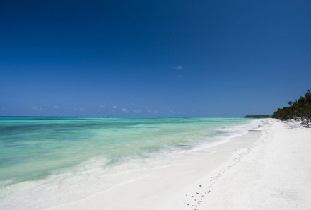 Tansania Familienreise - Tansania for family - Sansibar - Karafuu Beach Resort Verlängerung - Strand