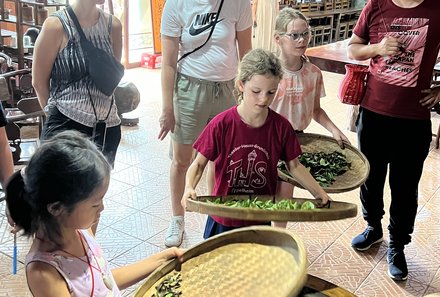 China mit Kindern - China for family - Kids haben Tee gepflückt in Guilin