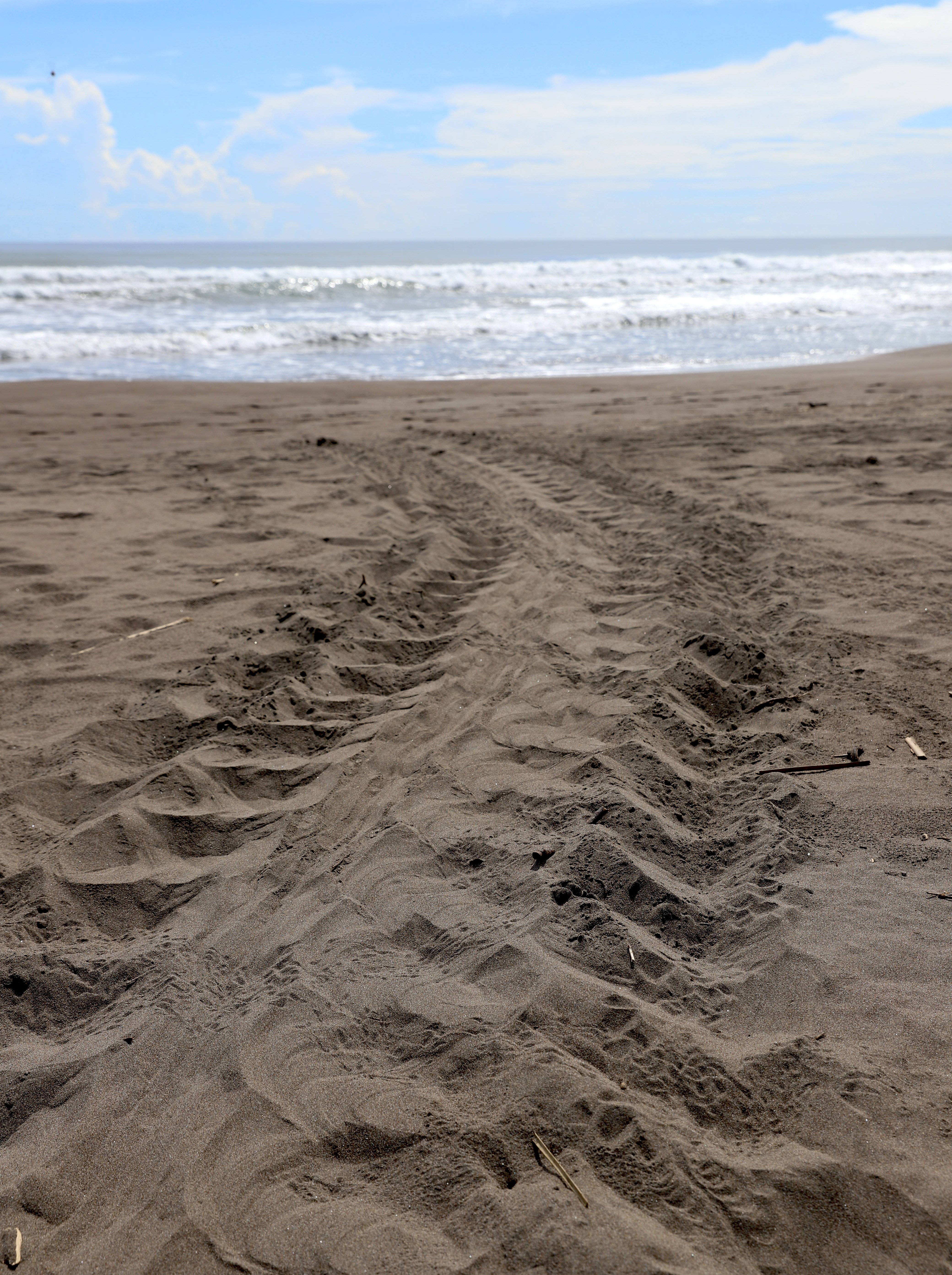 Costa Rica Selbstfahrerreise mit Kind - Schildkrötenspuren im Sand - Tortuguero Nationalpark