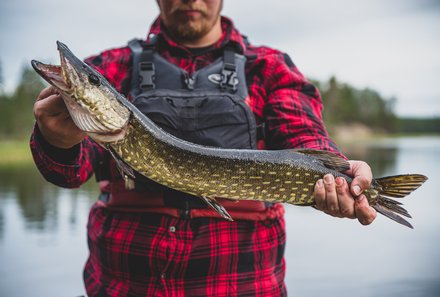 Finnland Familienreise - Finnland Family & Teens Summer - Fischfang