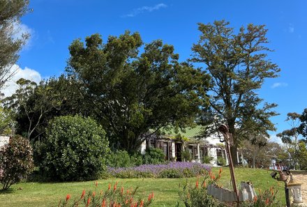 Garden Route mit Kindern individuell - Skeiding Guest Farm - Anwesen