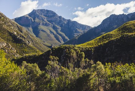 Südafrika Blog Artikel - Berge und grüne Landschaft – Südafrika Familienreise