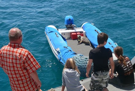Galápagos mit Kindern - Robbe im Boot