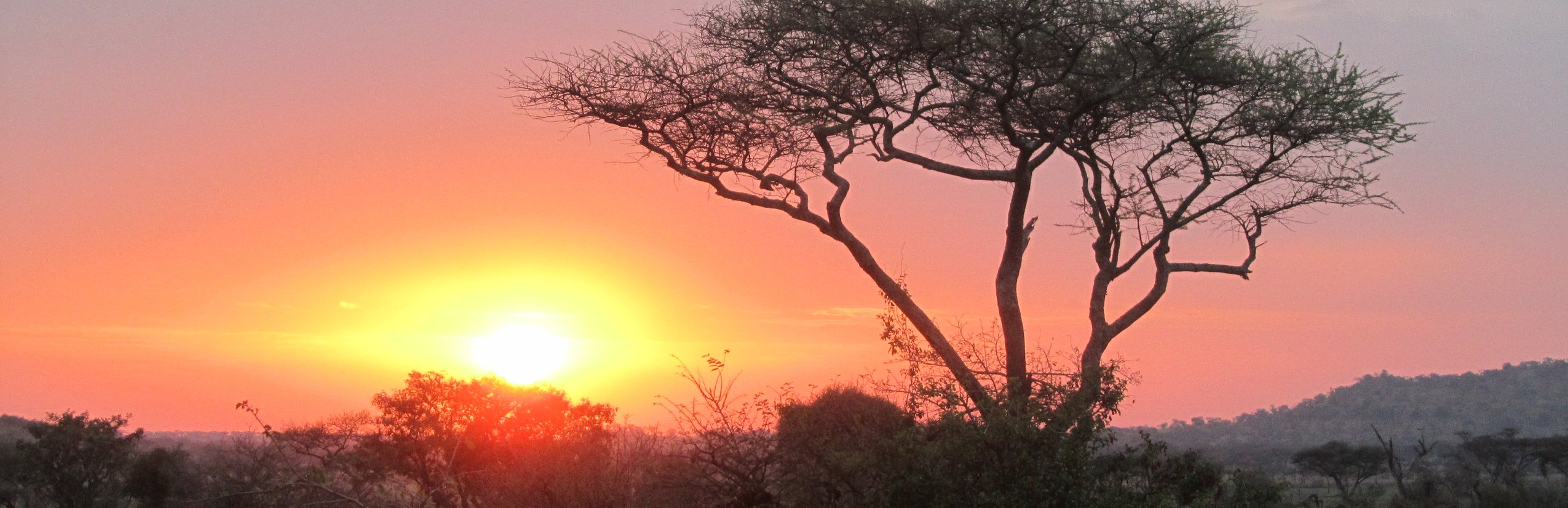 Familienreisen Tansania  - Tansania Teens on Tour - Sonnenuntergang in der Steppe