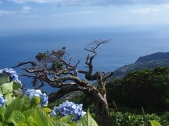 Azoren mit Kindern - Blick aufs Meer