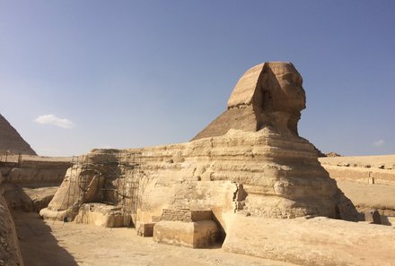 Familienreise Ägypten - Ägypten for family - Besichtigung der Sphinx