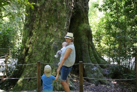 Garden Route mit Kindern - Reisebericht zu Südafrika Reisen mit Kindern - Nadja mit Kindern vor Riesenbaum