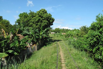 Kuba mit Kindern - 10 Gründe nach Kuba zu reisen - Zuckerrohr Tal