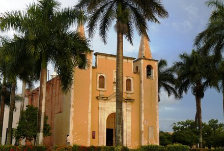 Mexiko Familienreise - Mexiko for family - Merida Kathedrale und Palmen
