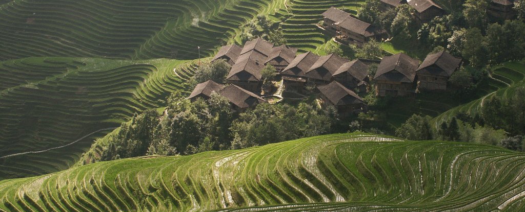 China Familienreise - China mit Kindern - Spazieren durch Reisterassen 