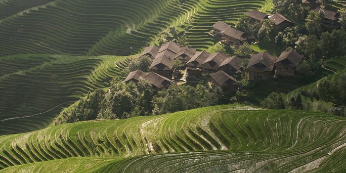 China Familienreise - Reisterrassen