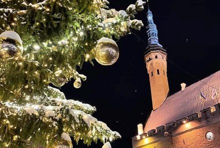 Familienreise Estland - Estland for family Winter - Talinn - geschmückter Weihnachtsbaum