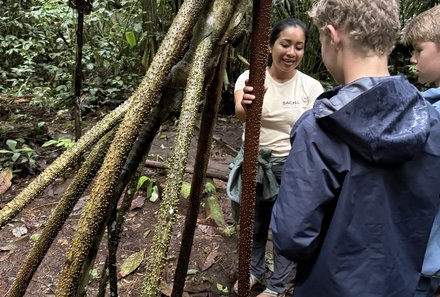 Familienreise Galapagos und Ecuador - Galapagos Family & Teens - Ausflug in den Regenwald