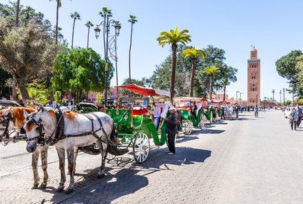 Familienreise Marokko - Marokko for family Deluxe - Marrakesch Kutschfahrt