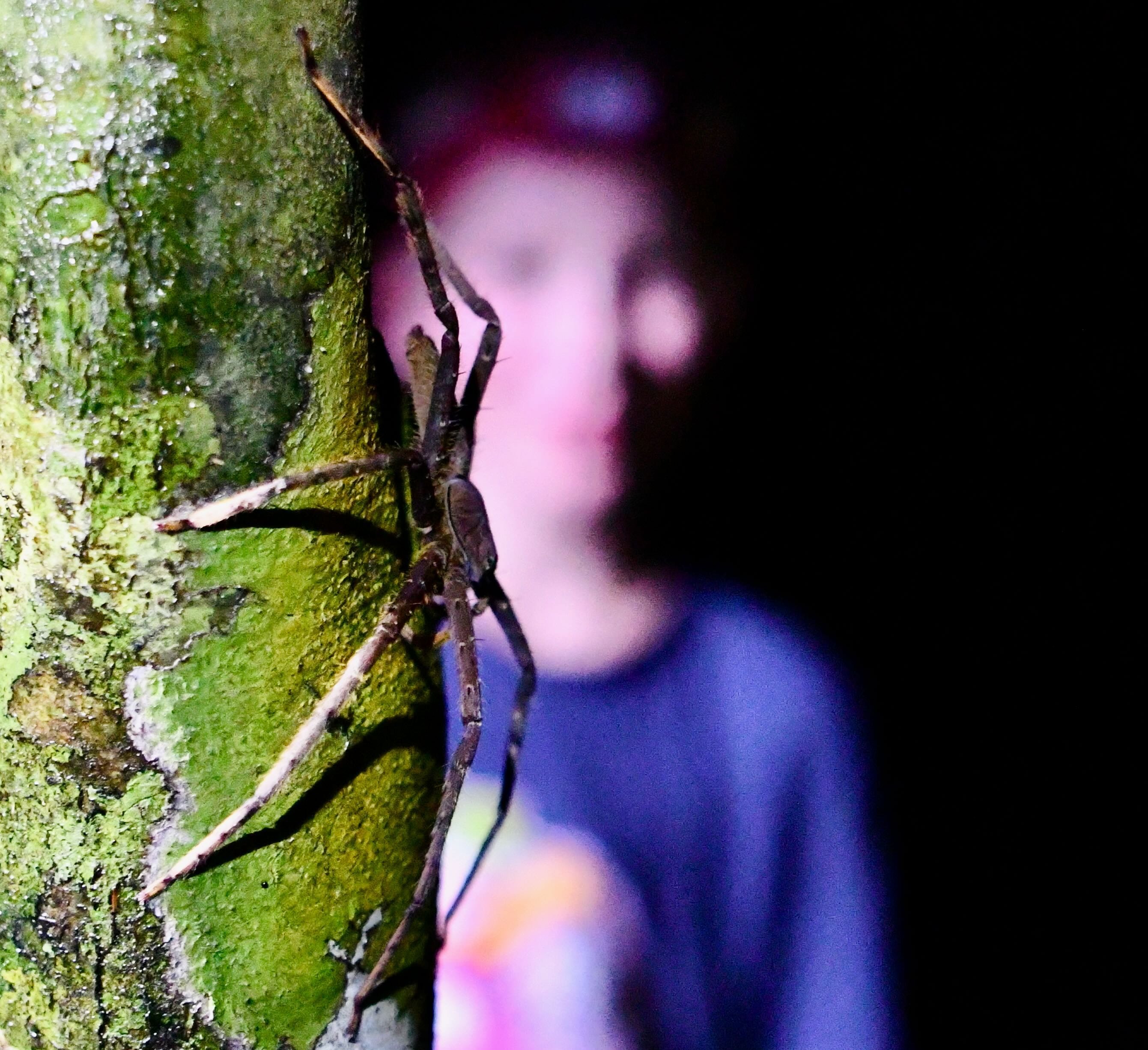 Reisebericht Malaysia mit Kindern - Erfahrungen Malaysia mit Kindern - Taman Negara Nationalpark - Nachtwanderung