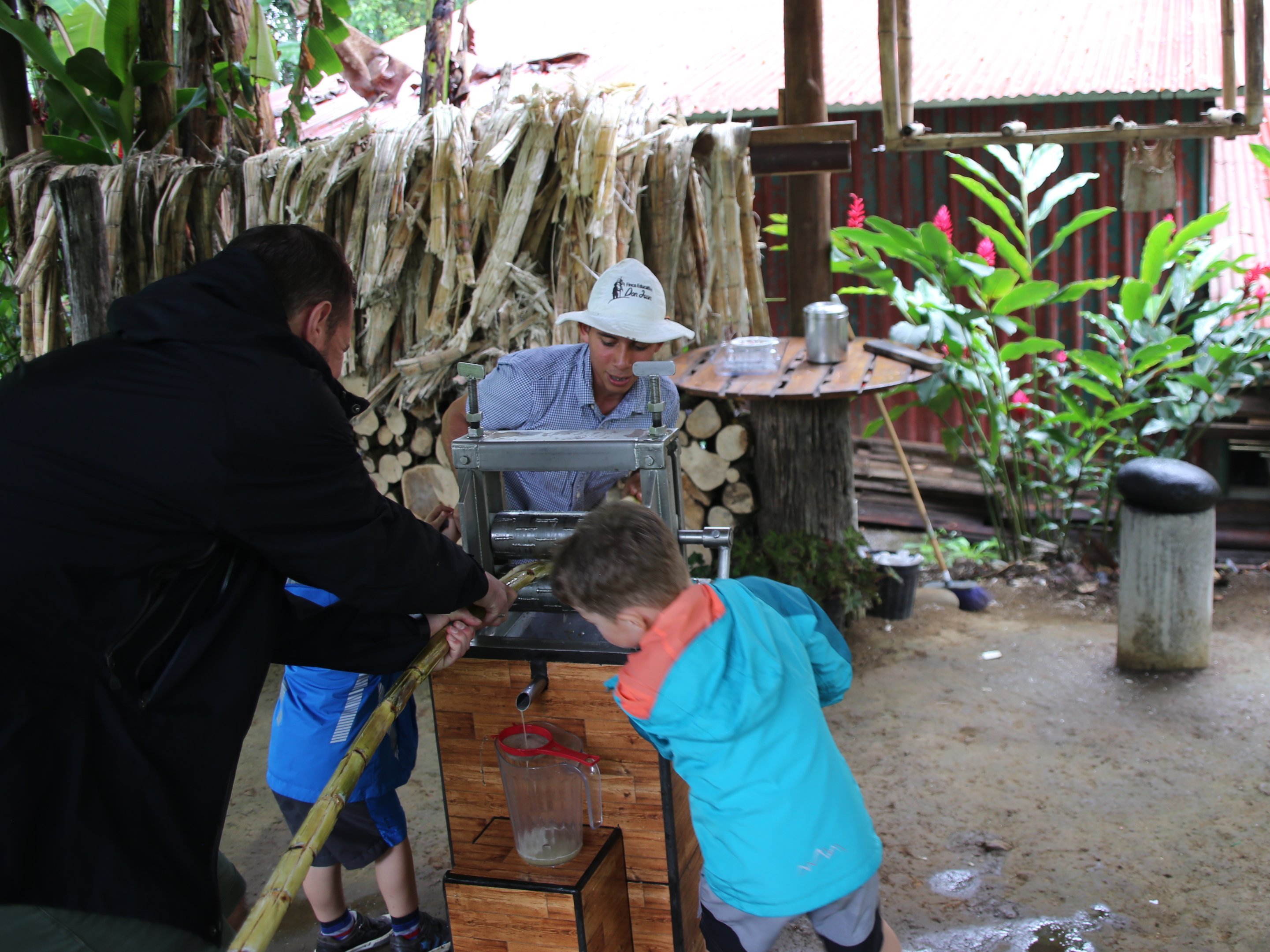 Costa Rica mit Kindern Erfahrungen - Costa Rica mit Kleinkindern - Costa Rica mit Kindern Blog -  Zuckerrohr pressen