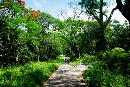 Laos und Vietnam Familienreise - Laos und Vietnam Reise mit Kindern - Cuc Phuong Nationalpark 