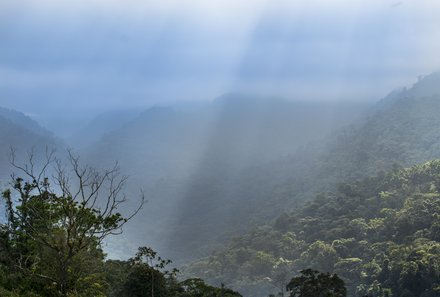 Costa Rica mit Kindern - Regenwaldprojekt: La Tigra Rainforest Lodge - Lichtspiel im Urwald