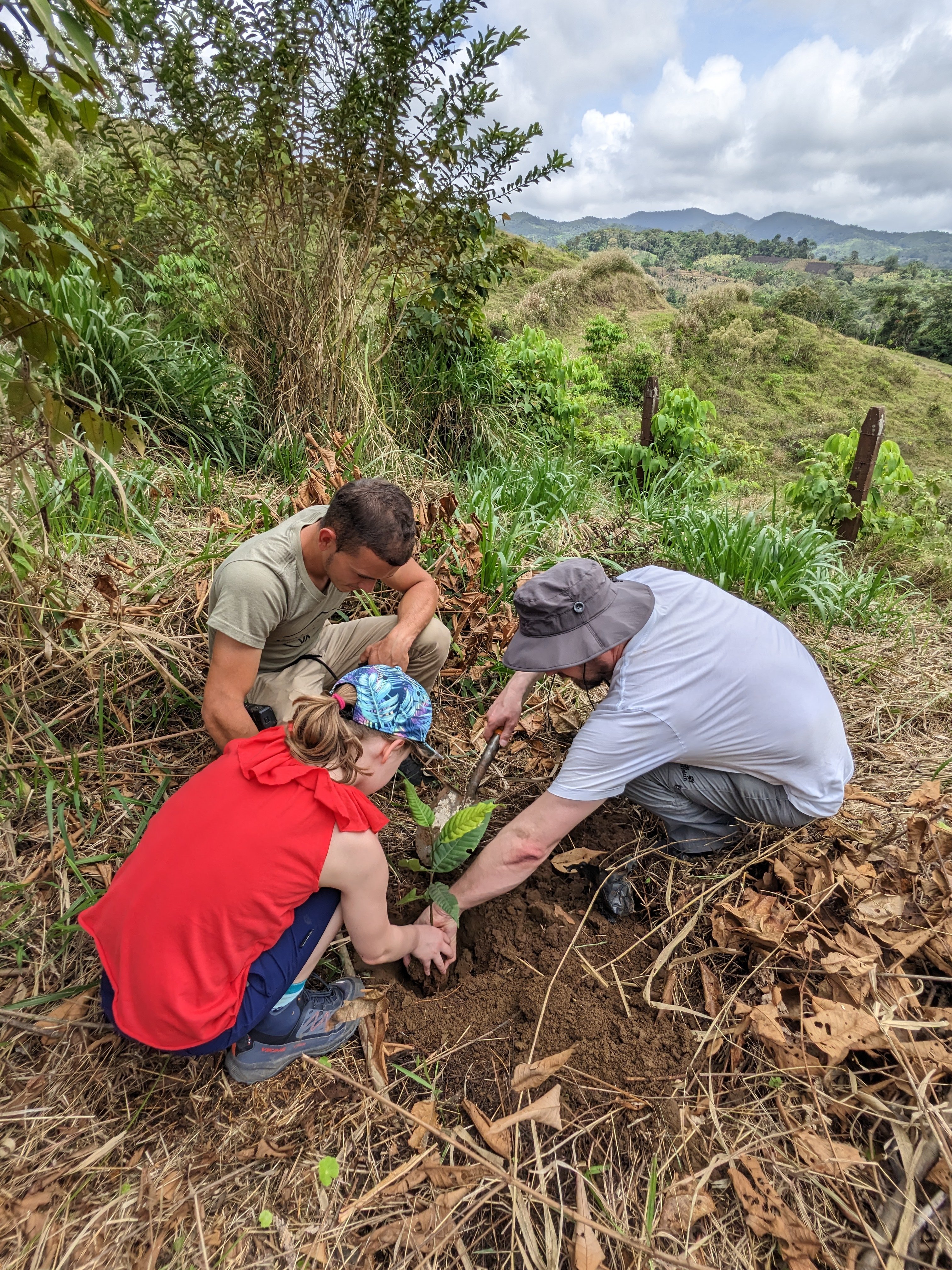 Costa Rica mit Kindern - Costa Rica Urlaub mit Kindern - Kind pflanzt Baum bei La Tigra