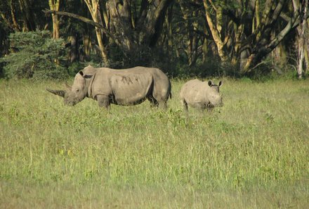 Kenia Familienreise - Kenia for family individuell - Lake Nakuru - Nashorn Mutter und Kind