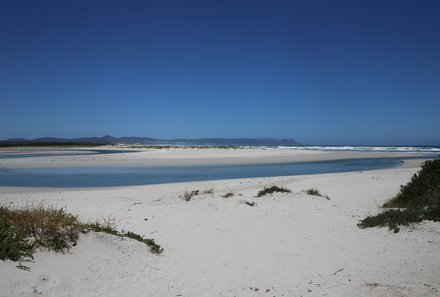 Garden Route mit Kindern Familiensafari - Hermanus Strand