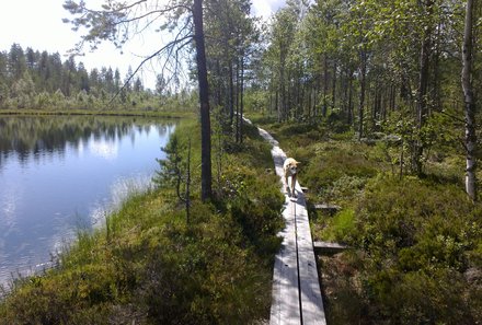 Finnland Familienreise - Finnland for family individuell - Wandern mit den Hunden der Lodge