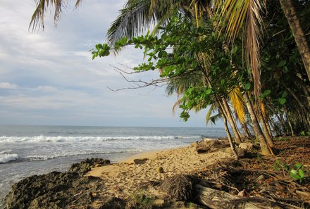 Costa Rica mit Jugendlichen - Costa Rica Family & Teens - Urwald und Strand