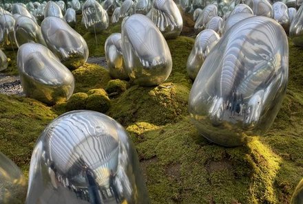 Japan for family - Teamlab Planets - Ausstellungsstücke