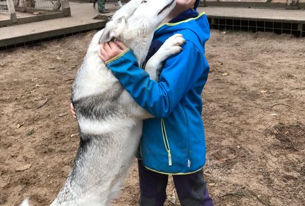 Finnland Familienreise - Finnland individuell - Hundekuscheln